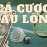 cach choi ca cuoc cau long 2 20251115 135340 2