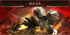 Chơi Đá Gà GA28 Hi88 Ngay Để Thắng Lớn Mỗi Ngày